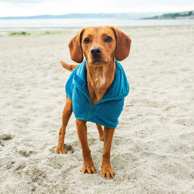 Mountain Paws Dog Towel Robe - Blue