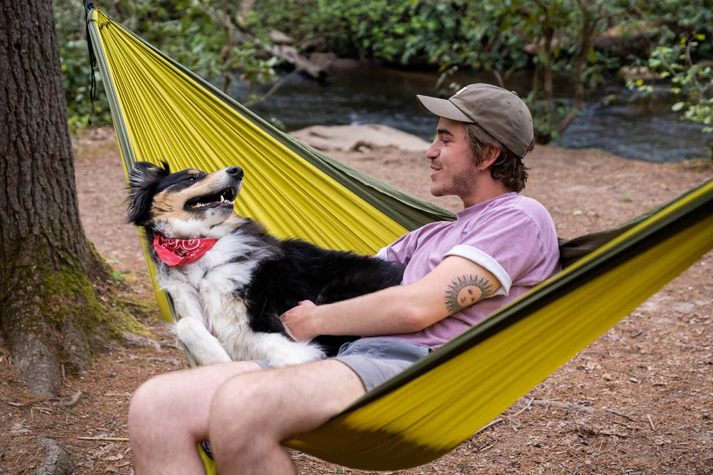 Eno SingleNest Hammock, Yellow/Black W/ Hammock 2024 Straps